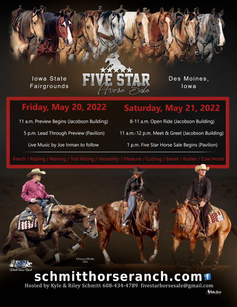 Five Star Horse Sale